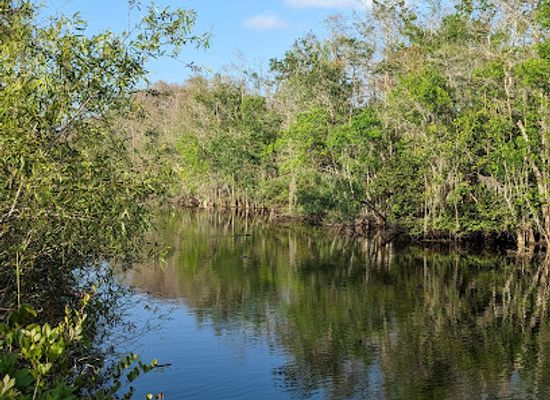 florida/fakahatchee-strand-preserve-state-park/attraction/big-cypress-wildlife-management-area-turner-river-unit