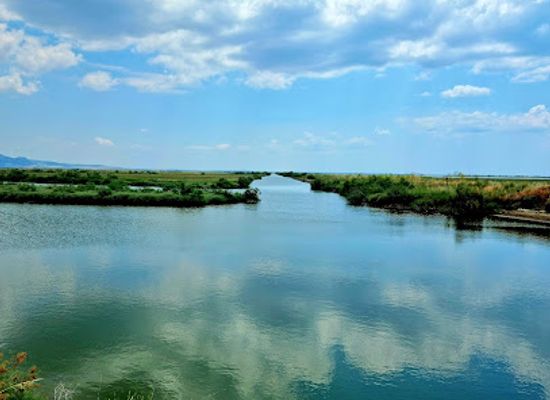 greece/alexandroupoli/attraction/delta-evros-explorer