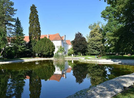 slovenia/prekmurje/attraction/murska-sobota-castle