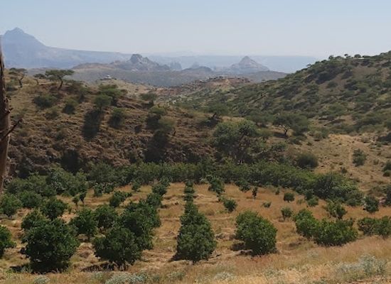 eritrea/debub-region/attraction/en-da-isaq-jeridin