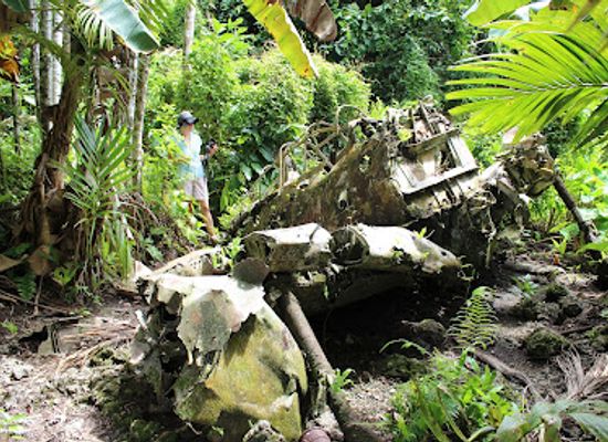 palau/peleliu-island/attraction/zero-fighter