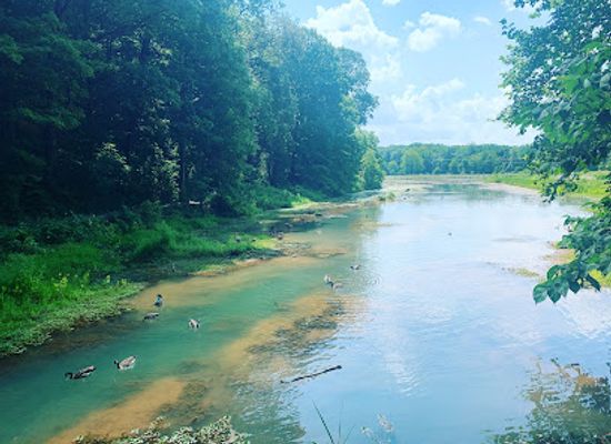 tennessee/duck-river-valley/attraction/bell-witch-cave