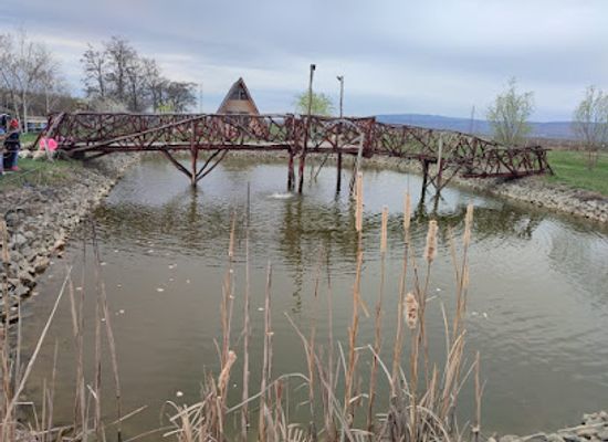 romania/buzau/attraction/ferma-de-struti-vernesti