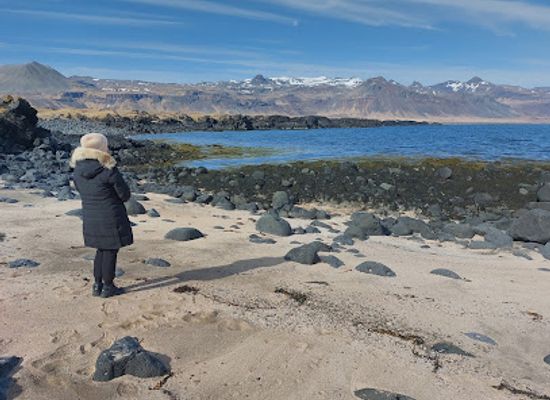 iceland/snafellsbar-area/attraction/frambudir