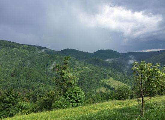 ukraine/transcarpathia/attraction/uzhanskyi-national-park
