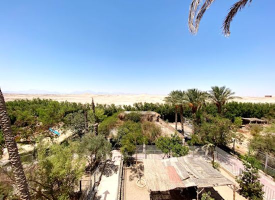 egypt/hurghada/sakkala/attraction/red-sea-aquarium