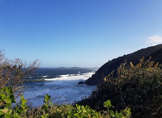 australia/mid-north-coast/attraction/big-hill-rainforest-walking-track