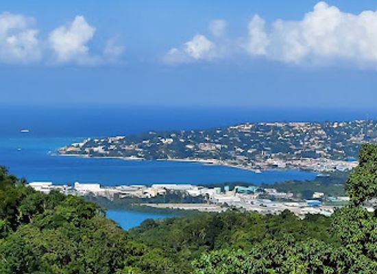 jamaica/east-end/attraction/rocklands-bird-sanctuary-montego-bay