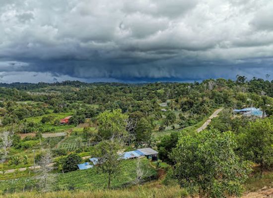 brunei/sungai-liang/attraction/bukit-peluru