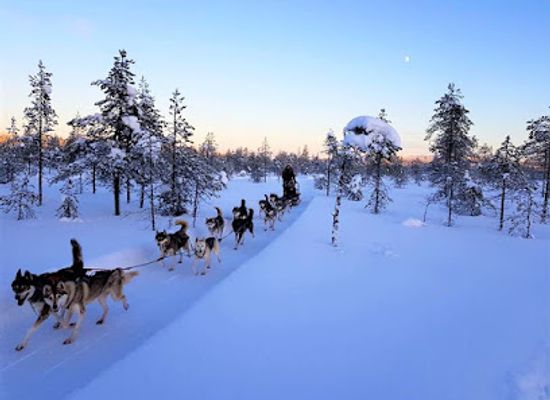 finland/lapland/attraction/arctic-circle-husky-park