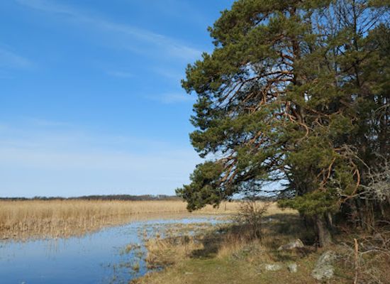 sweden/uppland/attraction/hjalstaviken-nature-reserve