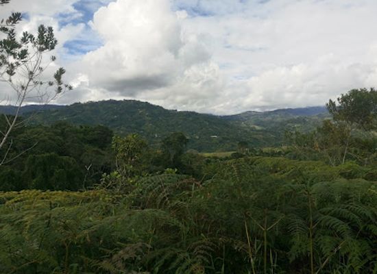 colombia/orinoquia/attraction/san-agustin-archaeological-park