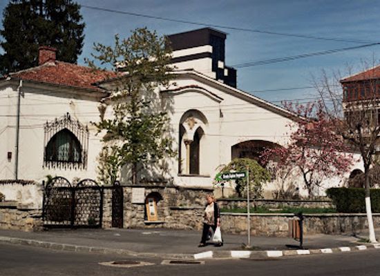 romania/ramnicu-valcea/attraction/simian-house