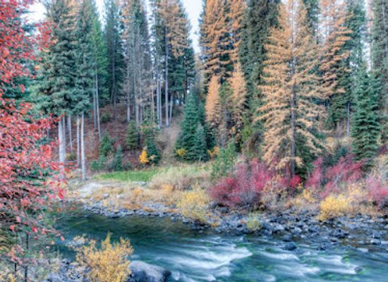 idaho/salmon-river/attraction/mccall-fish-hatchery-visitor-center