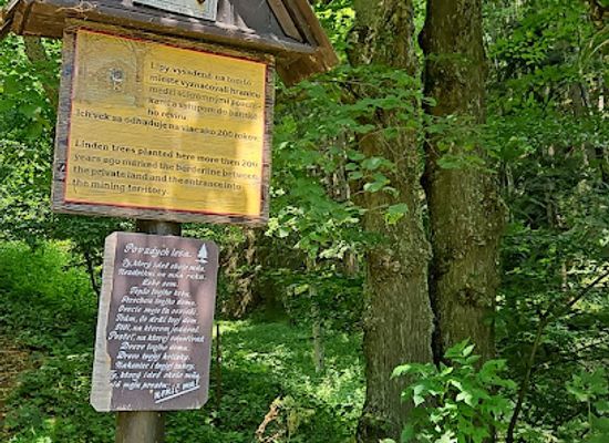 slovakia/banska-bystrica-region/attraction/hranicne-lipy
