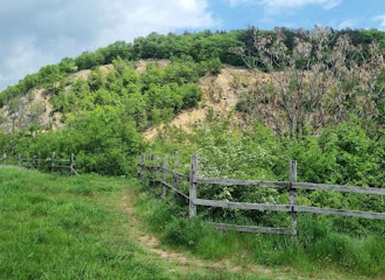 hungary/central-hungary/attraction/matyas-hegyi-barlang