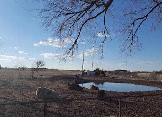 kansas/eastern-kansas/attraction/frontier-historical-park