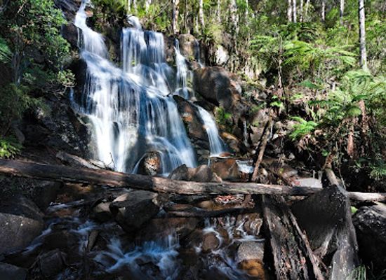 australia/yarra-valley/attraction/toorongo-falls-reserve