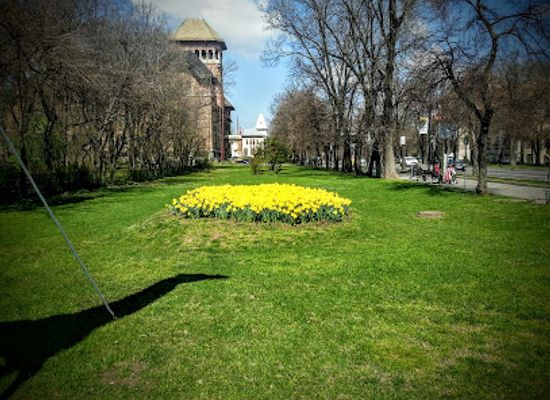 romania/ilfov/attraction/grigore-antipa-national-museum-of-natural-history