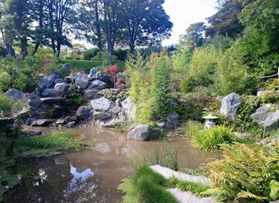 ireland/county-waterford/attraction/lafcadio-hearn-japanese-gardens