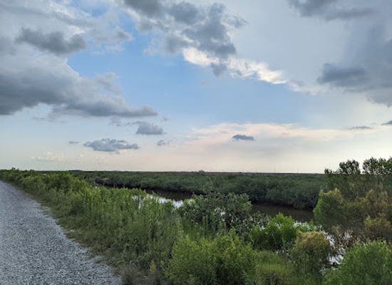 louisiana/grand-isle/attraction/elmer-s-island-beach