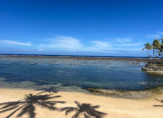 fiji/central-division/attraction/warwick-snorkeling-zone