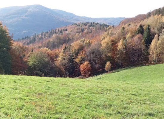 poland/silesian-beskids/attraction/punkt-widokowy-przed-przelecza-beskidek