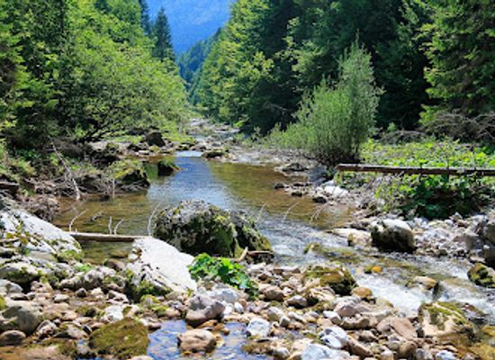 romania/bihor-mountains/attraction/izbucul-tauzului