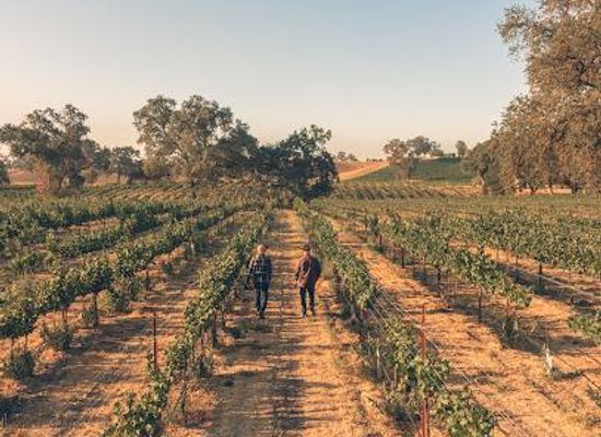 california/central-coast/attraction/peachy-canyon-winery-tasting-room