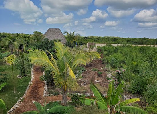 tanzania/zanzibar-island/attraction/maalum