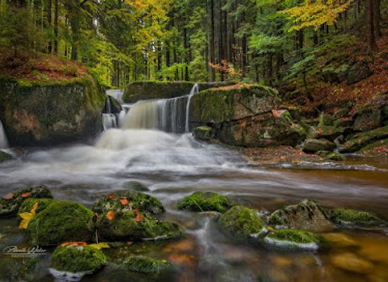 czechia/jizera-mountains/attraction/jedlovy-dul