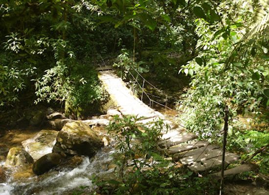colombia/cocora-valley/attraction/sendero-recorrido-ecologico-el-porton