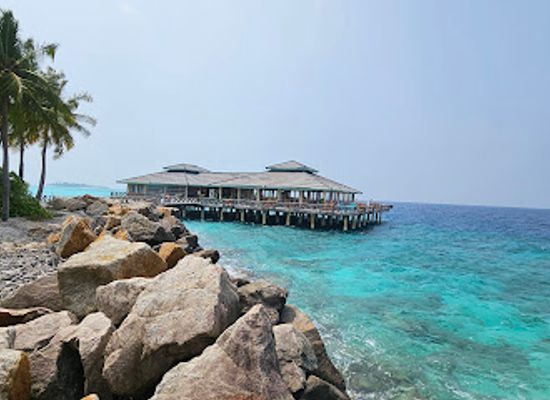 maldives/faafu-atoll/attraction/squali-a-pranzo