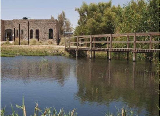 jordan/azraq-oasis/attraction/wahat-al-azraq
