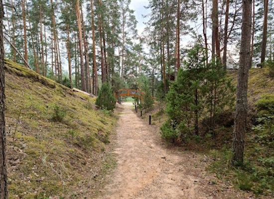 estonia/polvamaa/attraction/piusa-cave-museum
