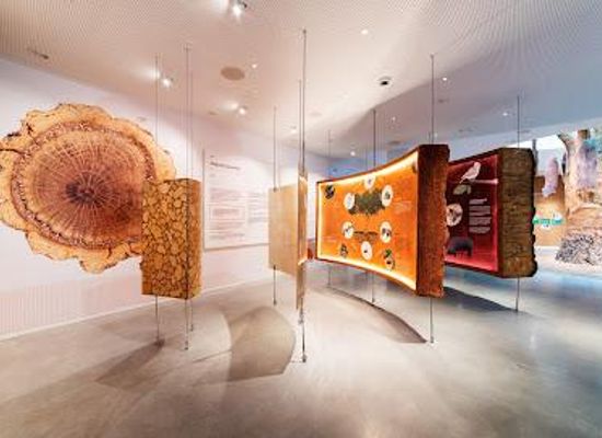 portugal/minho/attraction/planet-cork