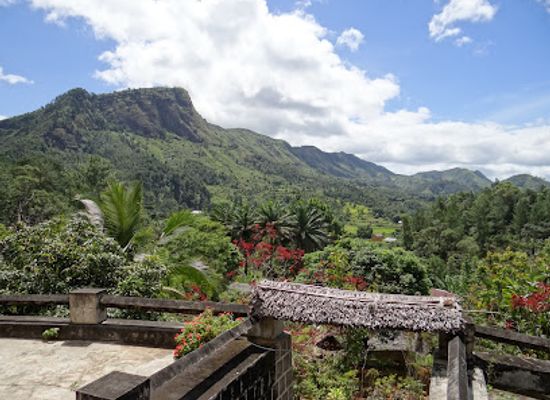 madagascar/atsinanana/attraction/reserve-peyrieras-madagascar-exotic