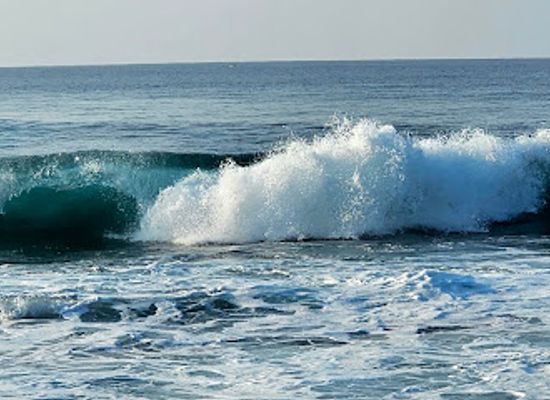 india/lakshadweep/attraction/beach-of-lakshadweep