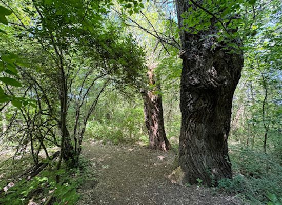 hungary/szekesfehervar/attraction/harom-nover