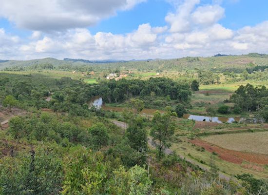 madagascar/ranomafana-national-park/attraction/emutail-pond