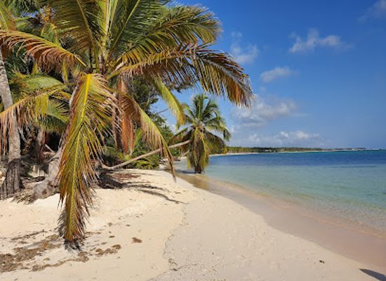dominican-republic/punta-cana-bavaro/attraction/seaquarium-punta-cana