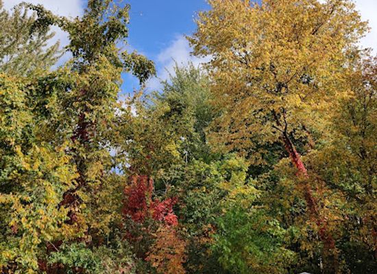 ohio/western-reserve/attraction/edison-woods-metropark