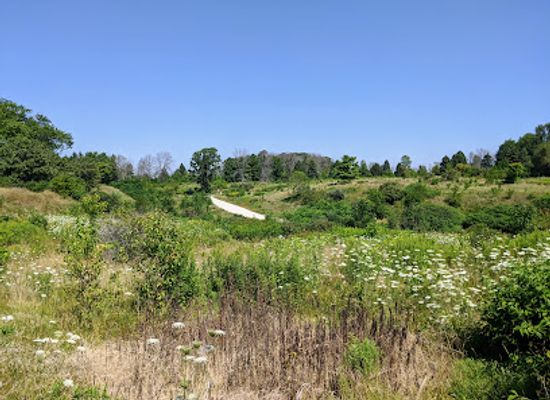 wisconsin/eastern-ridges-and-lowlands/attraction/forest-beach-migratory-preserve