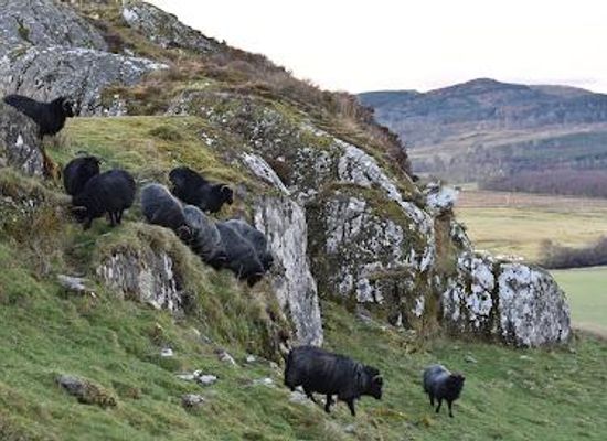 united-kingdom/bute/attraction/dunadd-fort