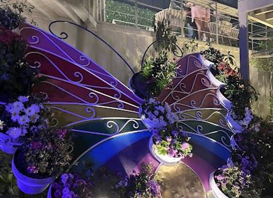 mexico/puerto-vallarta/attraction/mariposa-event-center