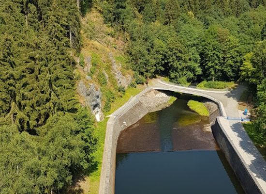 germany/vogtland/attraction/falknerei-herrmann