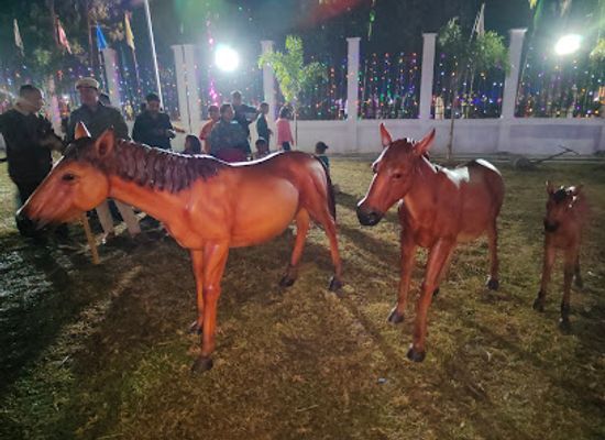 india/manipur/attraction/sangai-ethnic-park