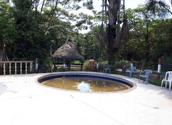 ecuador/pastaza-region/attraction/zoorefugio-tarqui