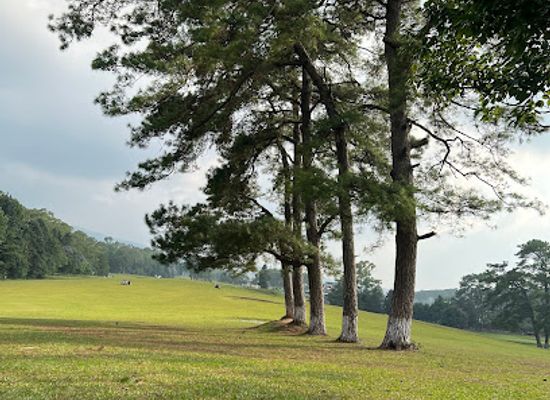 india/shillong/attraction/golf-links