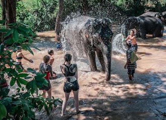 thailand/doi-inthanon/attraction/ethical-elephant-karen-tribe-elephant-village